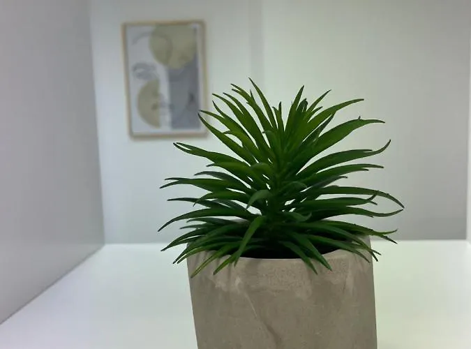 Apartman Beauty In Centar Pula